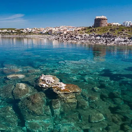 Tatil Evi Panoramic