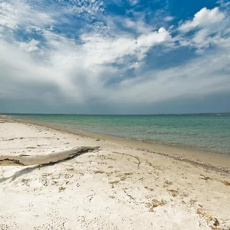 Panoramic *