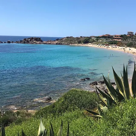 Panoramic