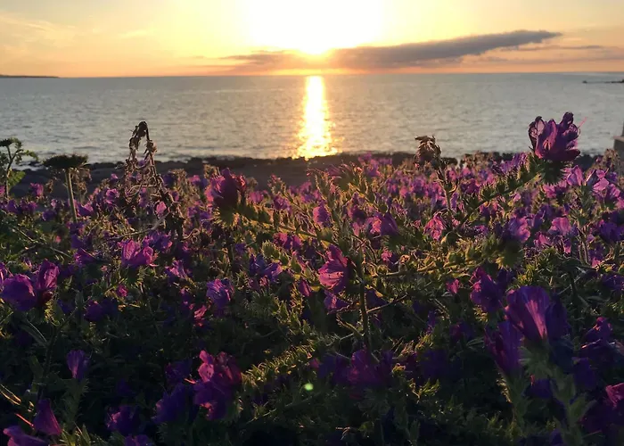 Сasa de vacaciones Panoramic Portoscuso